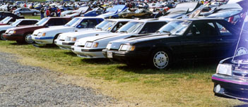 grp1.jpg (46179 bytes)