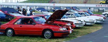 grp2.jpg (40579 bytes)