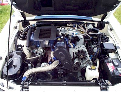 Carlisle, 199936 a(1).jpg (37882 bytes)