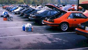 show13.jpg (20234 bytes)