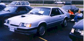 show17.jpg (16671 bytes)