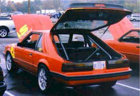 show6.jpg (22820 bytes)