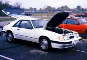 show7.jpg (21240 bytes)