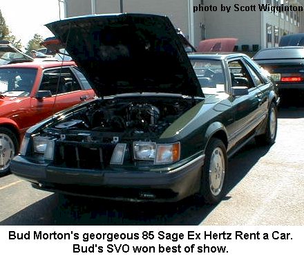 budmortonsage.jpg (45803 bytes)