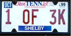 TN_1 of 3.jpg (14014 bytes)