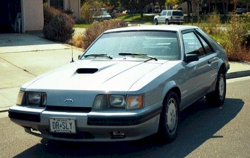 dennis_sly0057.jpg (36086 bytes)