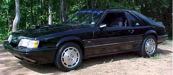 chris-hadden.jpg (40402 bytes)