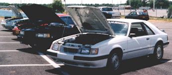 mmff15a.jpg (14567 bytes)