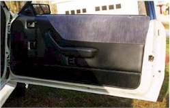 doorpanel2.jpg (14183 bytes)