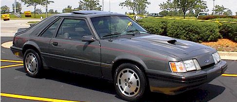 stacey-schmitt.jpg (33916 bytes)