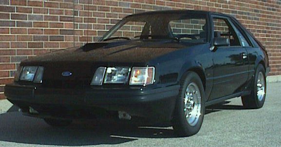 TSchaefer_frt_lg.jpg (36002 bytes)